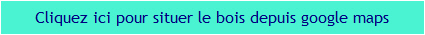 Lien 